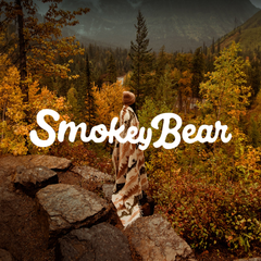 Collection image for: Smokey Bear