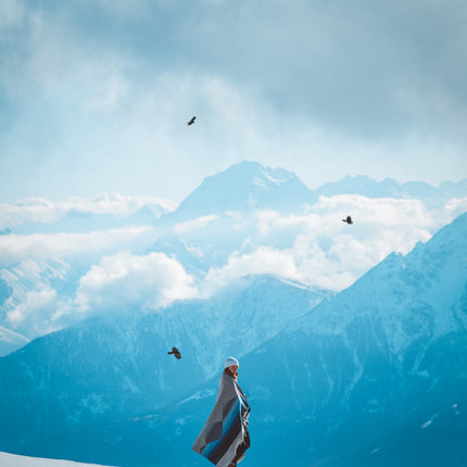 Mountain Arctic