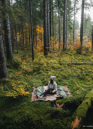 Star Wars Endor™