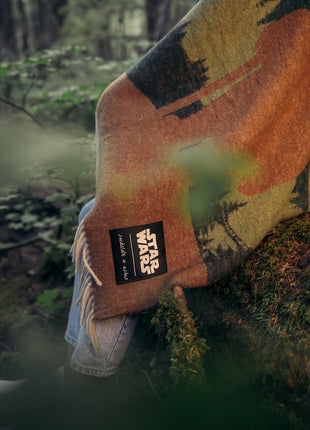 Star Wars Endor™